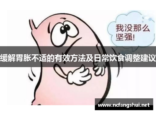 缓解胃胀不适的有效方法及日常饮食调整建议